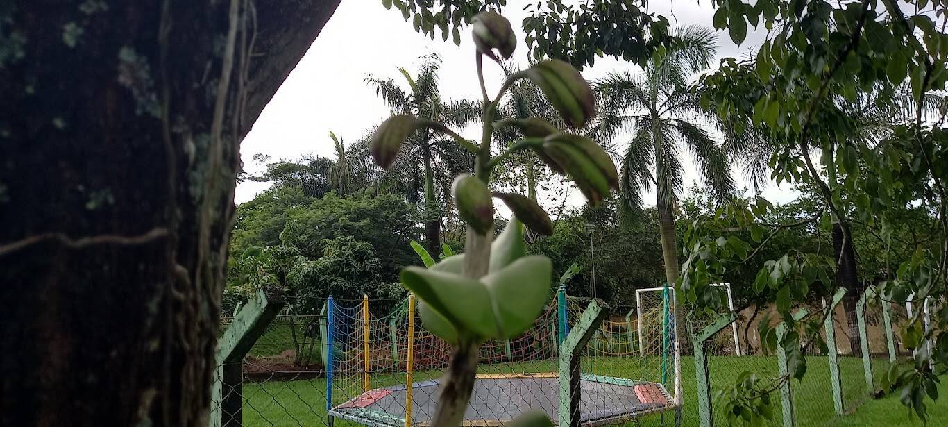 #242 - Chácara para Venda em Rio Claro - SP