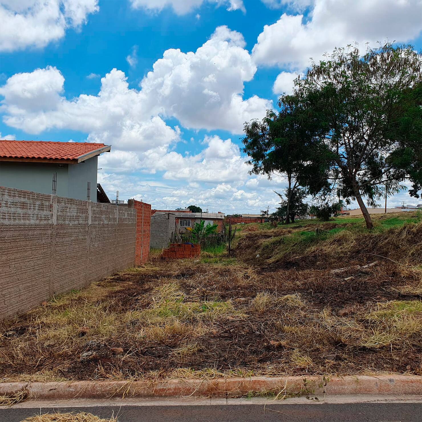 #392 - Área para Venda em Rio Claro - SP