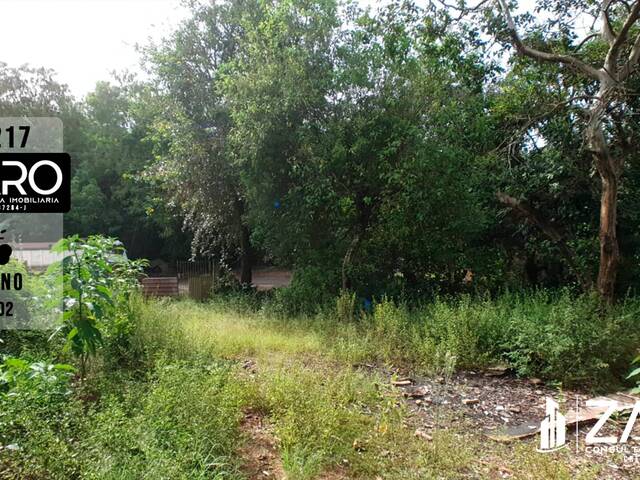 #217 - Terreno para Venda em Rio Claro - SP - 2