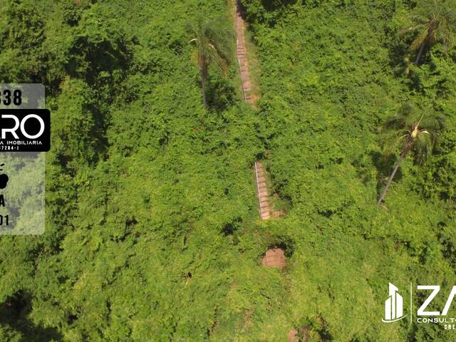 #338 - Sítio para Venda em Corumbataí - SP