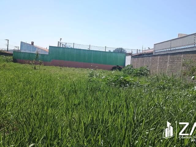 #426 - Área para Venda em Rio Claro - SP - 3