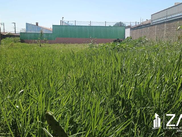 #426 - Área para Venda em Rio Claro - SP - 2