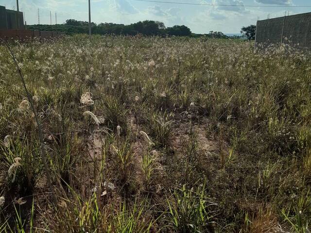 #435 - Área para Venda em Rio Claro - SP - 2