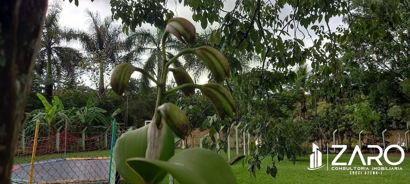 Chácara à venda com 3 quartos, 2000m² - Foto 2