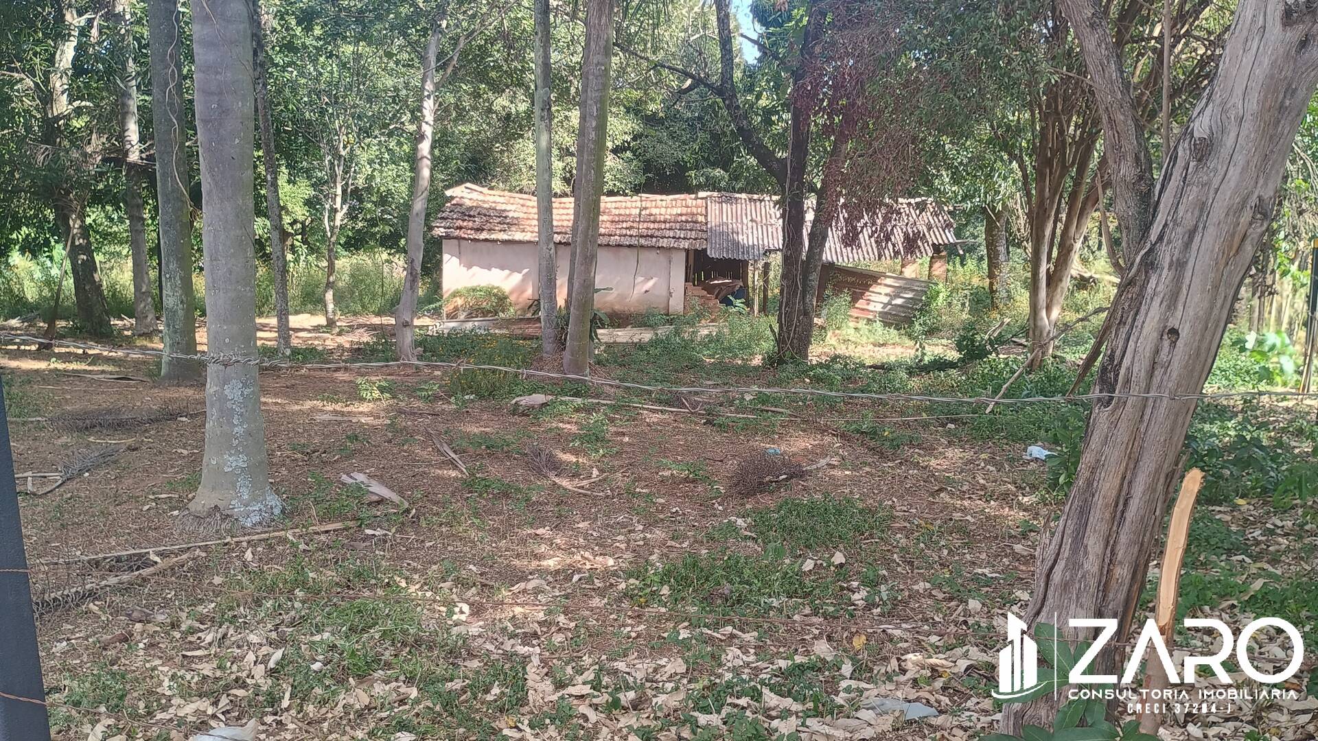 Terreno, 2973 m² - Foto 3