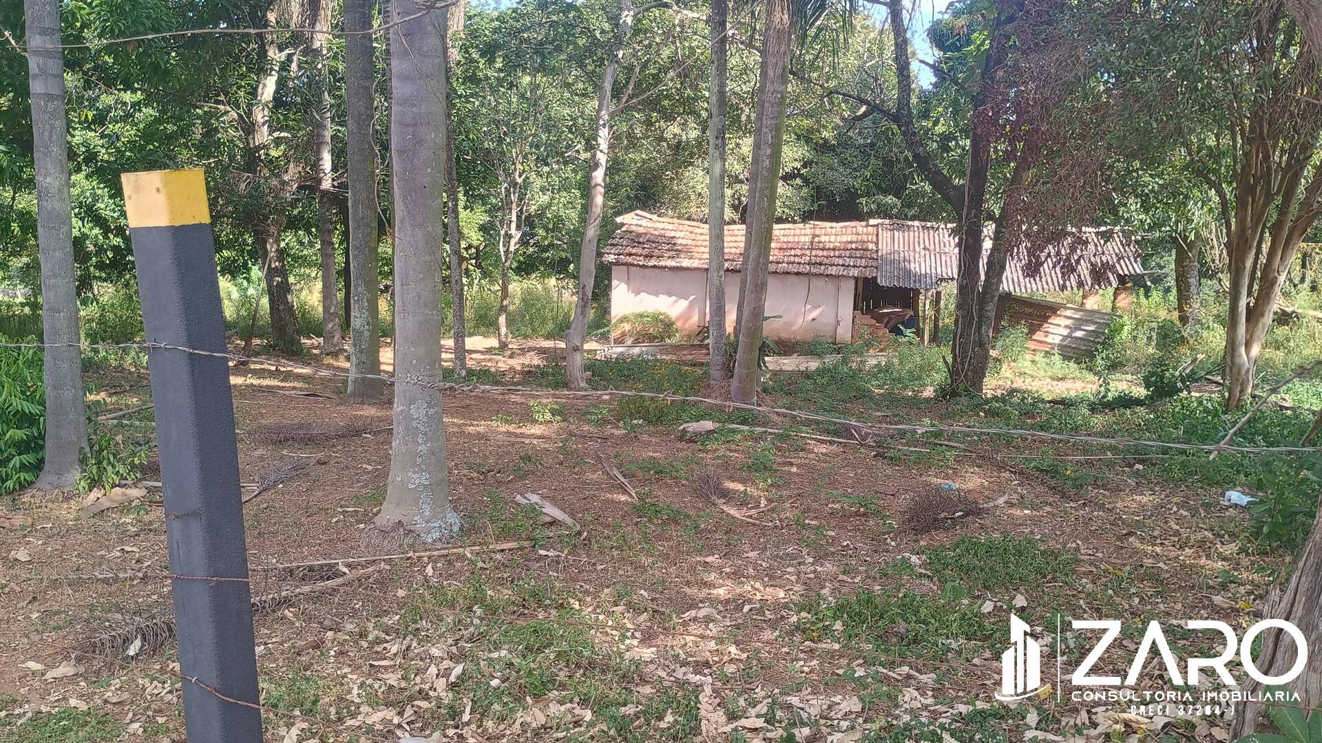 Terreno, 2973 m² - Foto 4